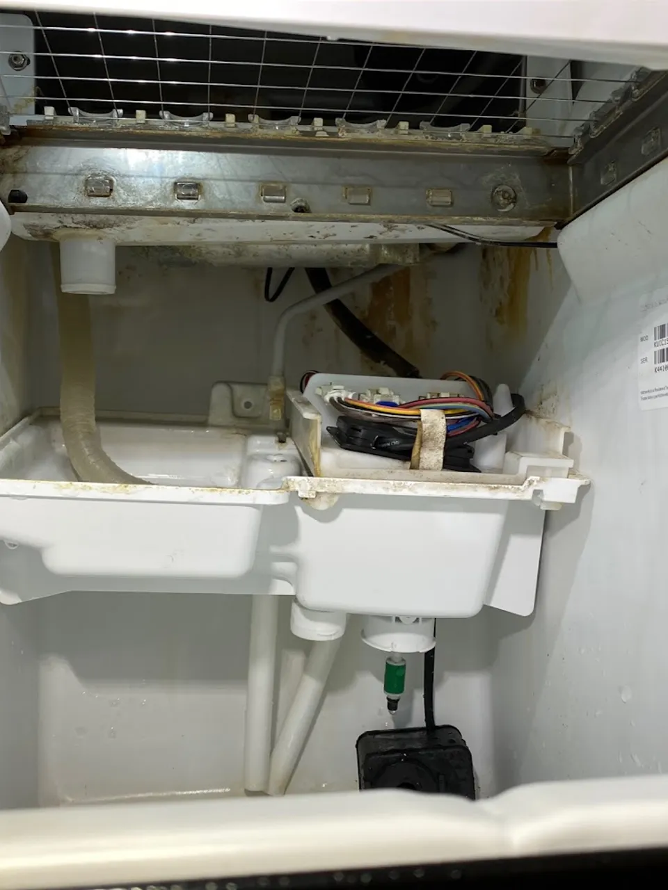 Ice maker mold and module with its wiring inside a freezer compartment