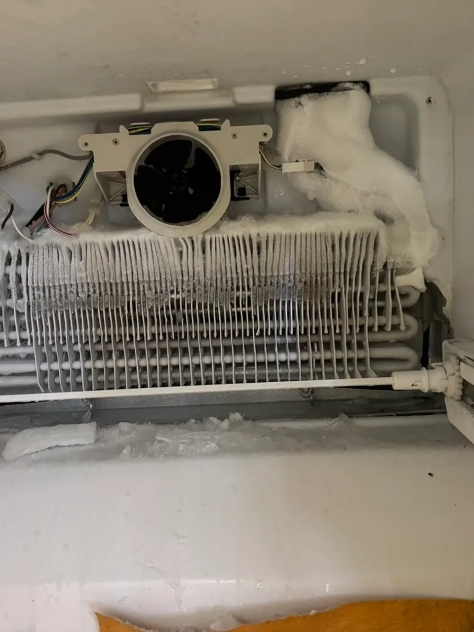 Refrigerator evaporator coil covered in ice behind the removed back panel
